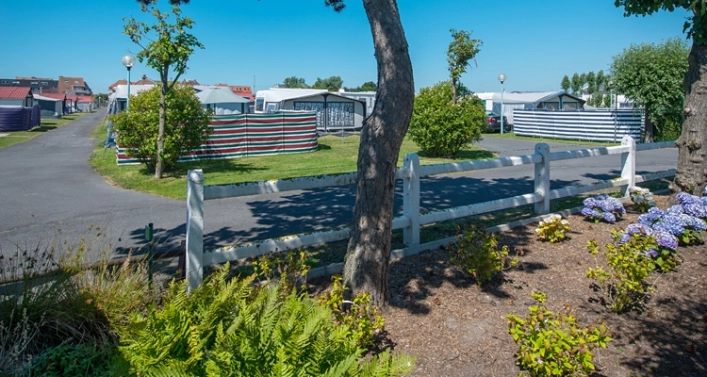 Camping Warande - zdjęcie 2