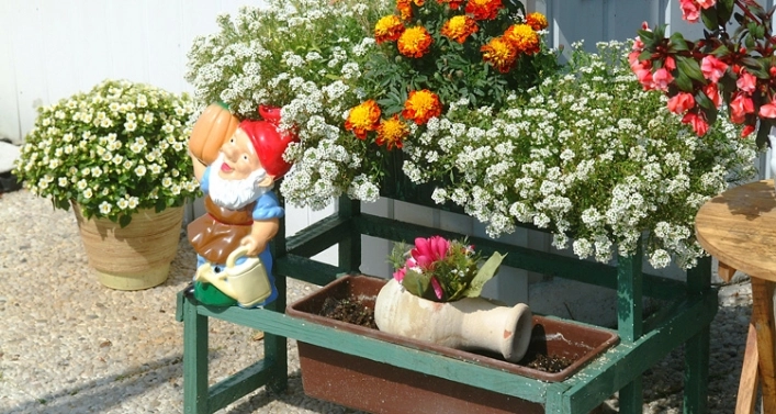 Camping Warande - zdjęcie 1