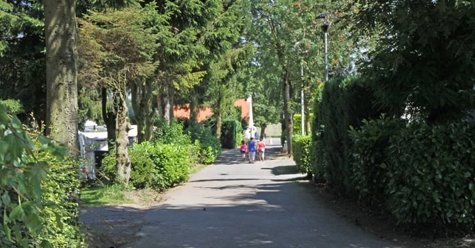 zobacz camping - zdjęcie 20