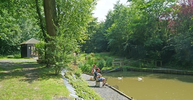 zobacz camping - zdjęcie 11