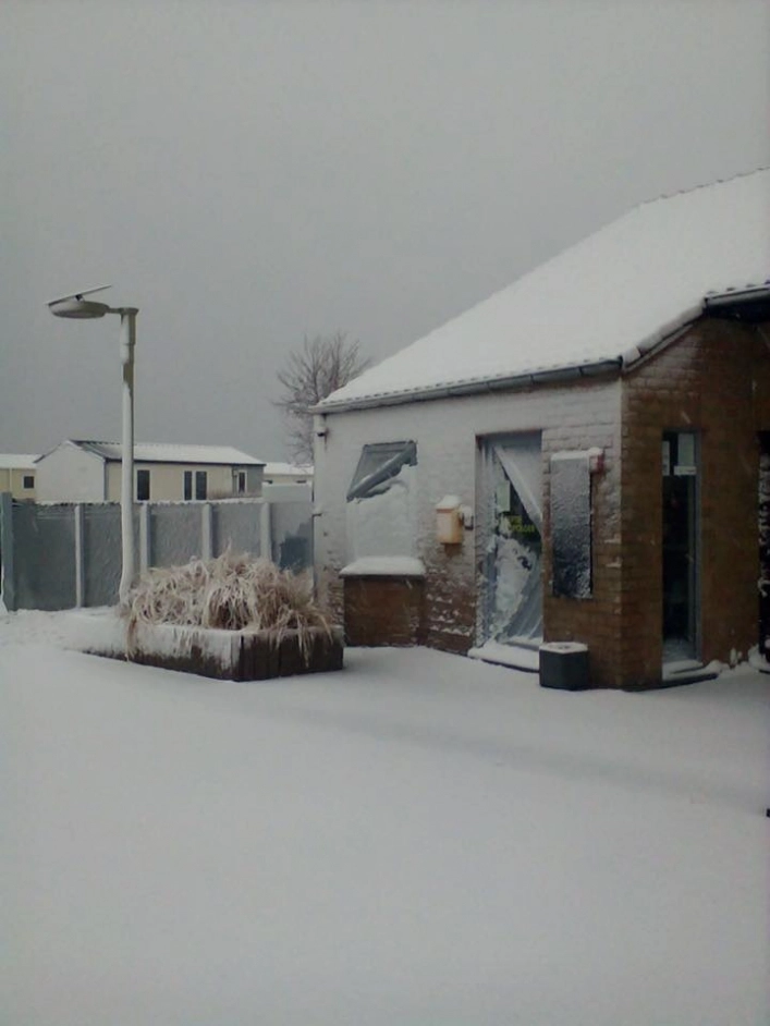 Camping Zandpolder - zdjęcie 3