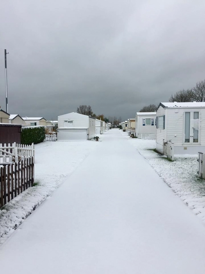 Camping Zandpolder - zdjęcie 1