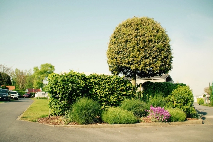 zobacz camping - zdjęcie 14