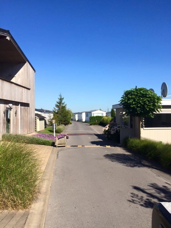 zobacz camping - zdjęcie 12