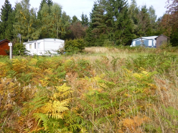 zobacz camping - zdjęcie 29