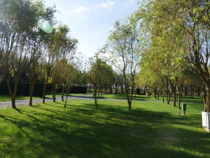 zobacz camping - zdjęcie 9