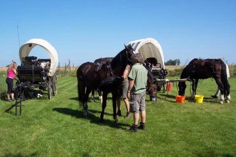 zobacz camping - zdjęcie 15