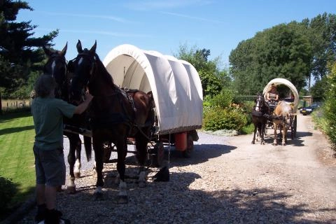 zobacz camping - zdjęcie 13