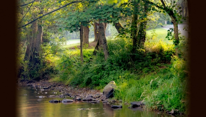 zobacz camping - zdjęcie 6