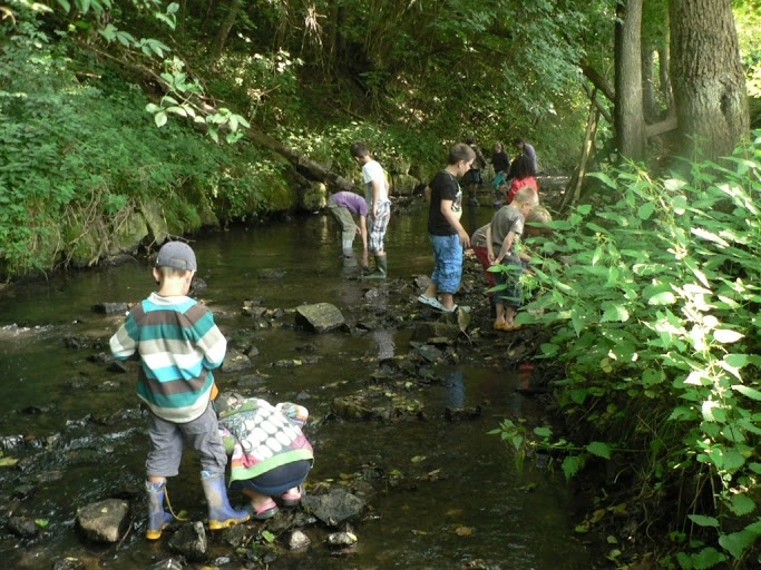 zobacz camping - zdjęcie 15