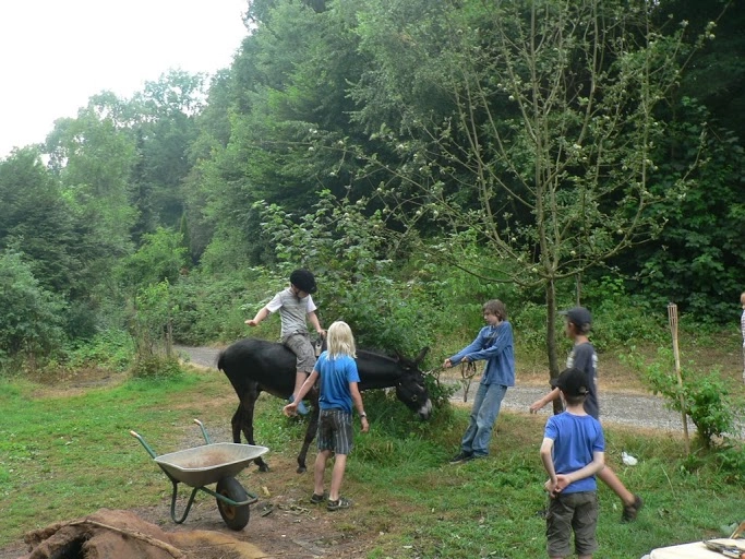 zobacz camping - zdjęcie 14