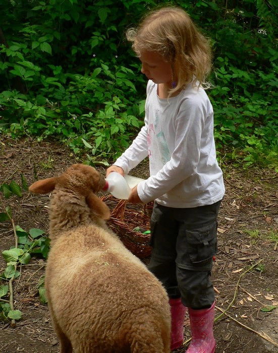 zobacz camping - zdjęcie 11