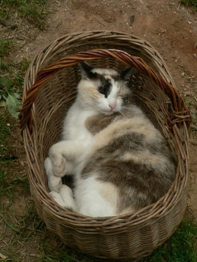 zobacz camping - zdjęcie 10