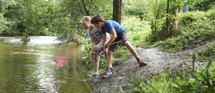 zobacz camping - zdjęcie 5