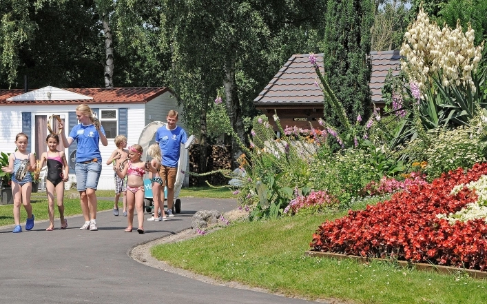 zobacz camping - zdjęcie 3