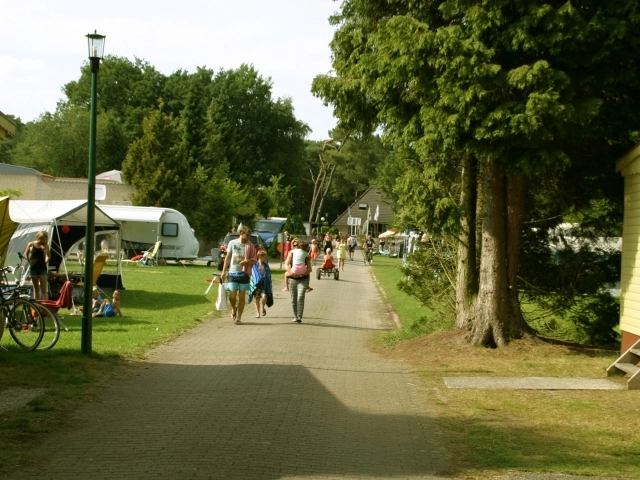 zobacz camping - zdjęcie 15