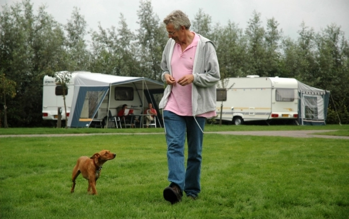 zobacz camping - zdjęcie 15