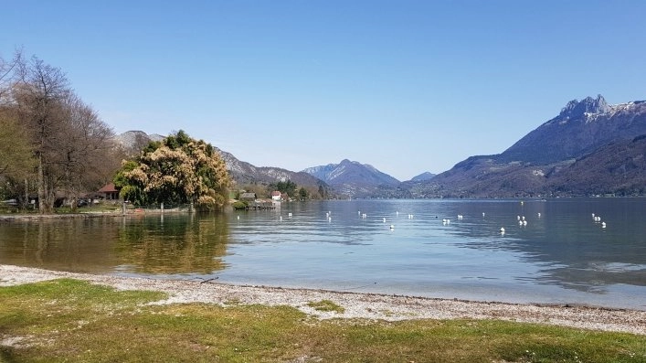 zobacz camping - zdjęcie 20