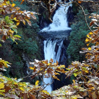 Aberystwyth Holiday Village - zdjęcie 4