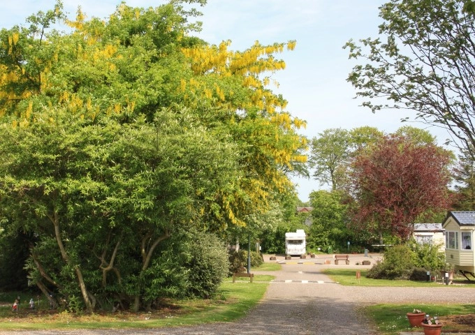 zobacz camping - zdjęcie 9