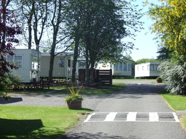 Aden Caravan Park - zdjęcie 3