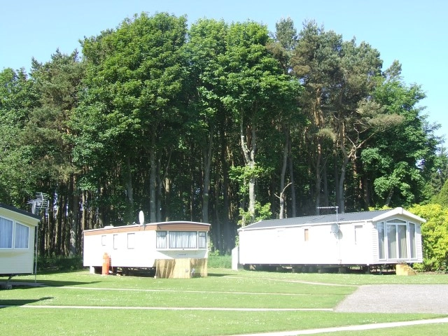 Aden Caravan Park - zdjęcie 1