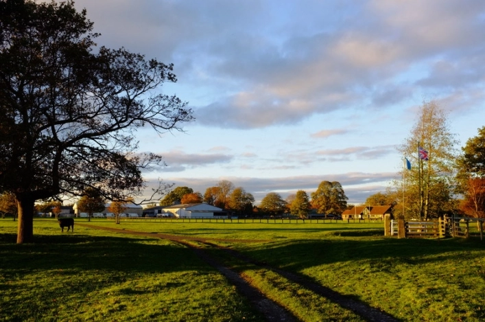 zobacz camping - zdjęcie 11