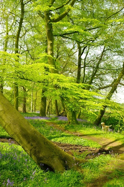 Alders Caravan Park - zdjęcie 4