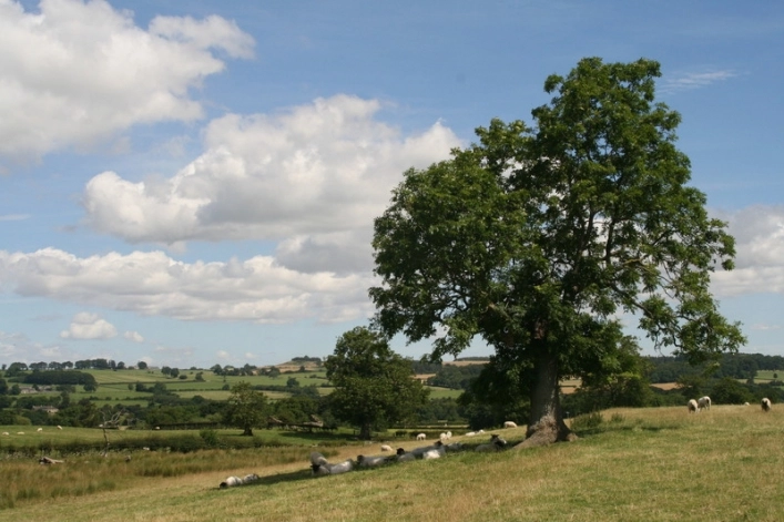 zobacz camping - zdjęcie 3