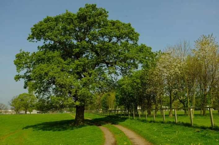 Alders Caravan Park - zdjęcie 1
