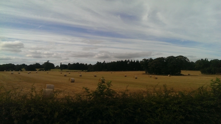 zobacz camping - zdjęcie 8