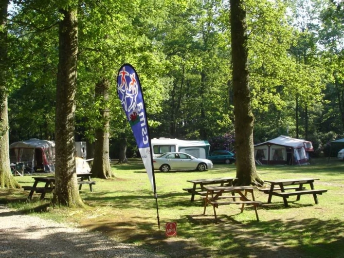 zobacz camping - zdjęcie 8