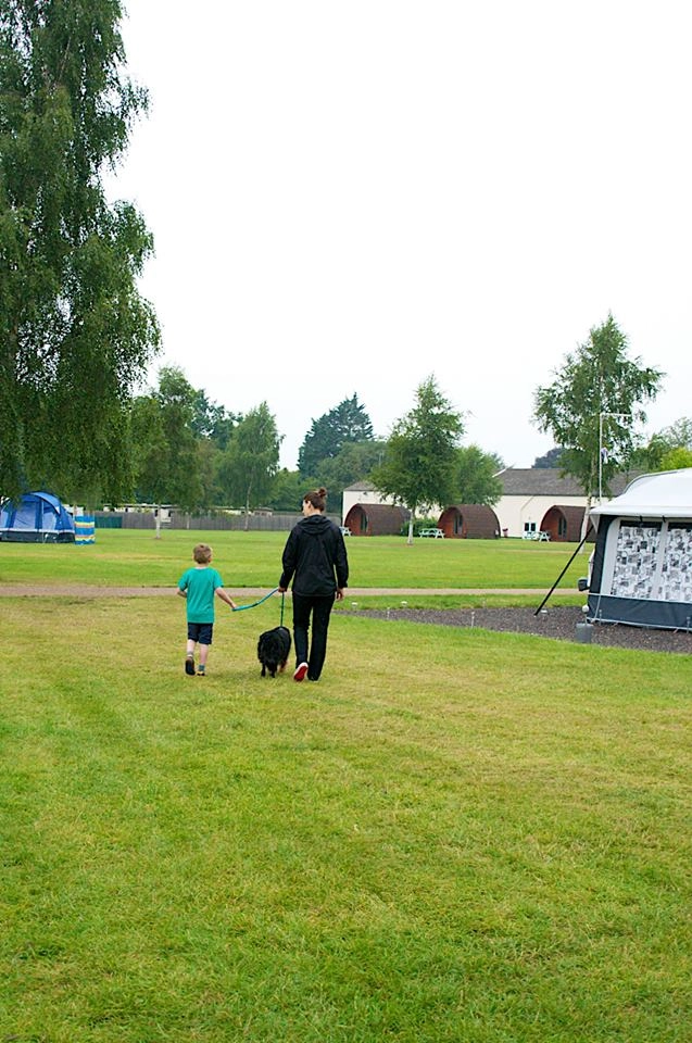 Applewood Caravan and Camping Park - zdjęcie 2