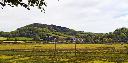 zobacz camping - zdjęcie 8