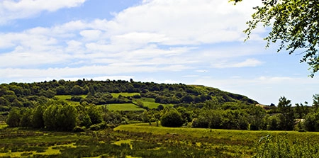 zobacz camping - zdjęcie 7