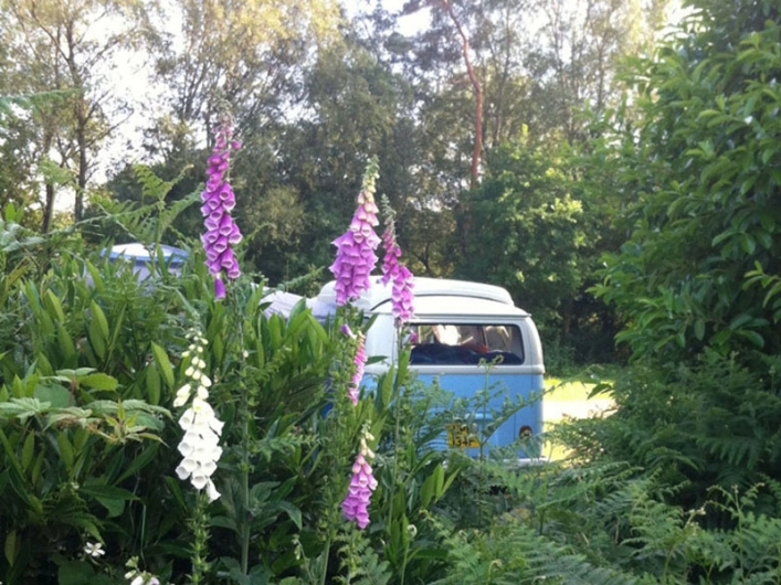 zobacz camping - zdjęcie 3