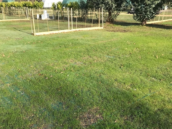 zobacz camping - zdjęcie 2