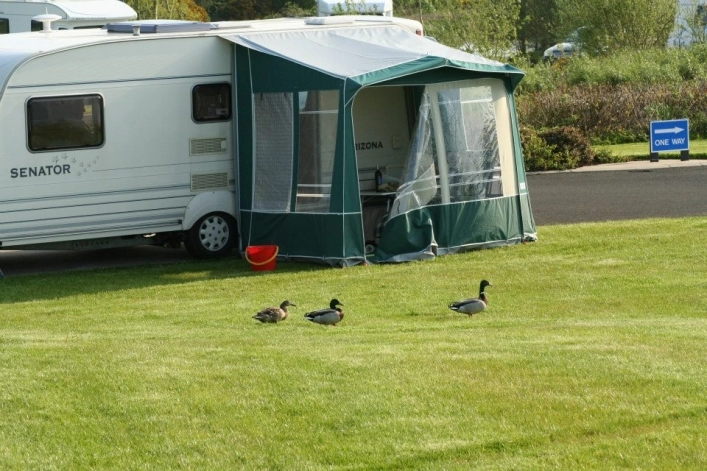 zobacz camping - zdjęcie 13