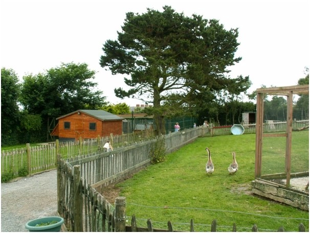 zobacz camping - zdjęcie 13