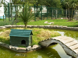 Ballywhiskin Caravan & Camping Park - zdjęcie 4