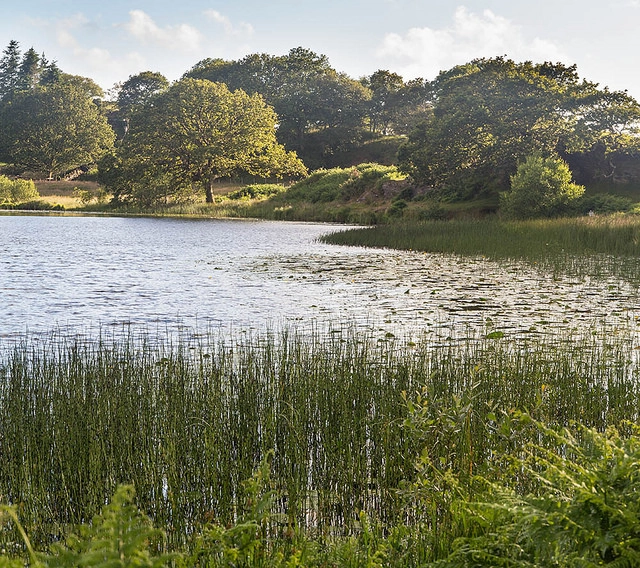 zobacz camping - zdjęcie 1