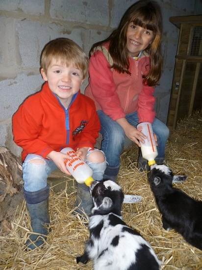 zobacz camping - zdjęcie 8