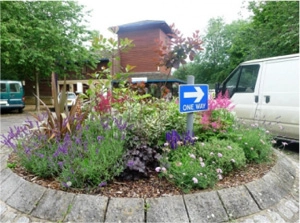 zobacz camping - zdjęcie 6