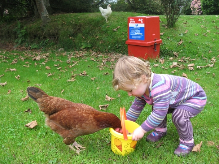 zobacz camping - zdjęcie 3