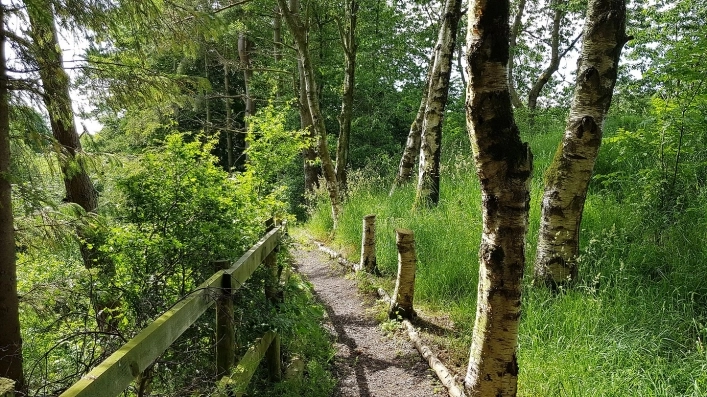 zobacz camping - zdjęcie 6