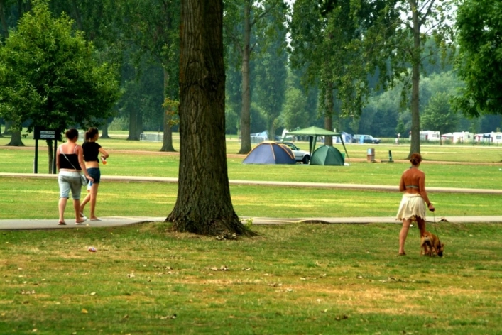 zobacz camping - zdjęcie 19