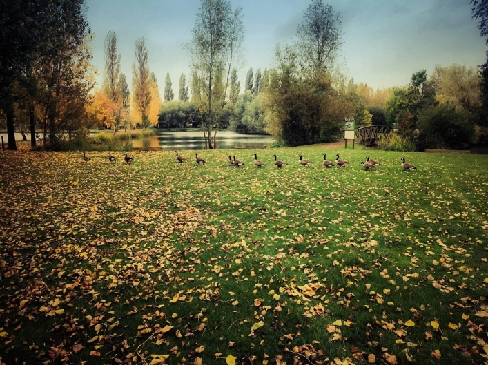 zobacz camping - zdjęcie 17