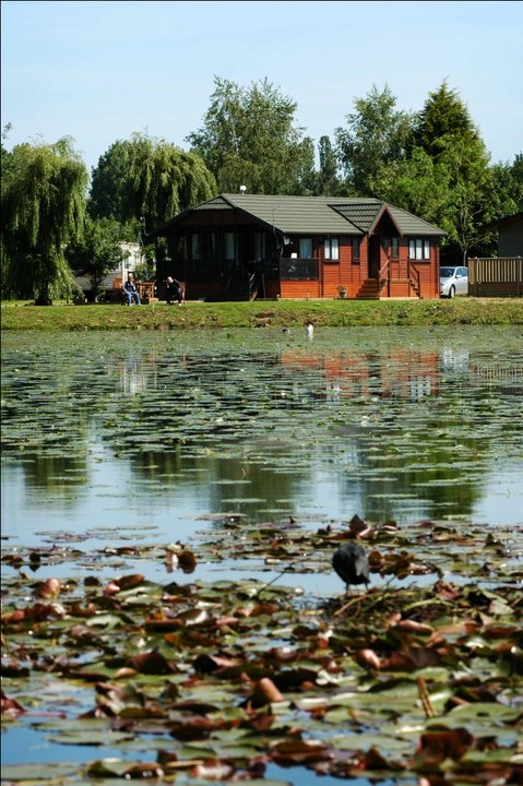 zobacz camping - zdjęcie 14