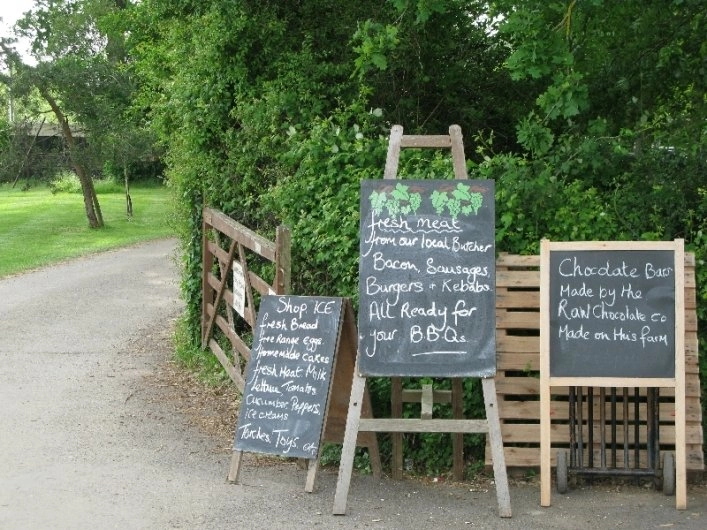 zobacz camping - zdjęcie 17