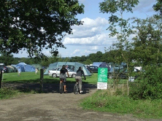 zobacz camping - zdjęcie 10